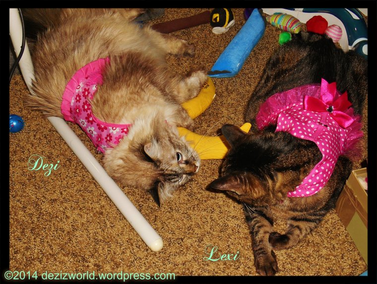 0dw DnL Purretty in Pink