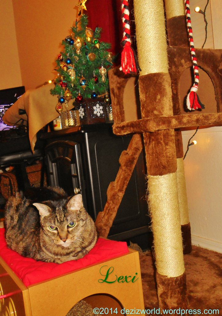 0dw Lexi and tree2014