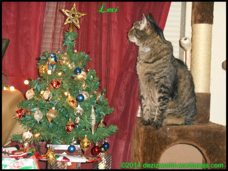 Lexi's checkin' out da twee.