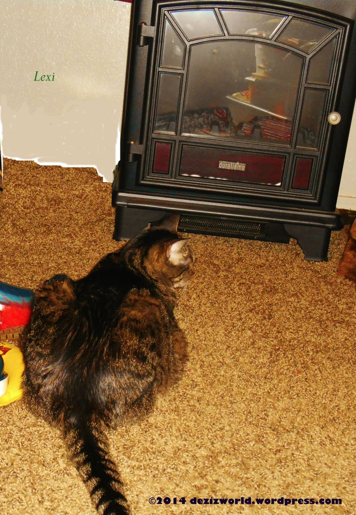 I'z warmin' deez old bonez bi da fire.