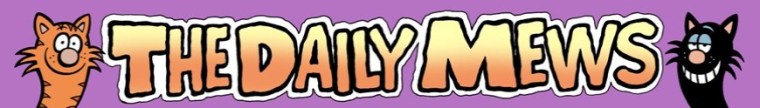 DAILY MEWS LOGO COLOUR2