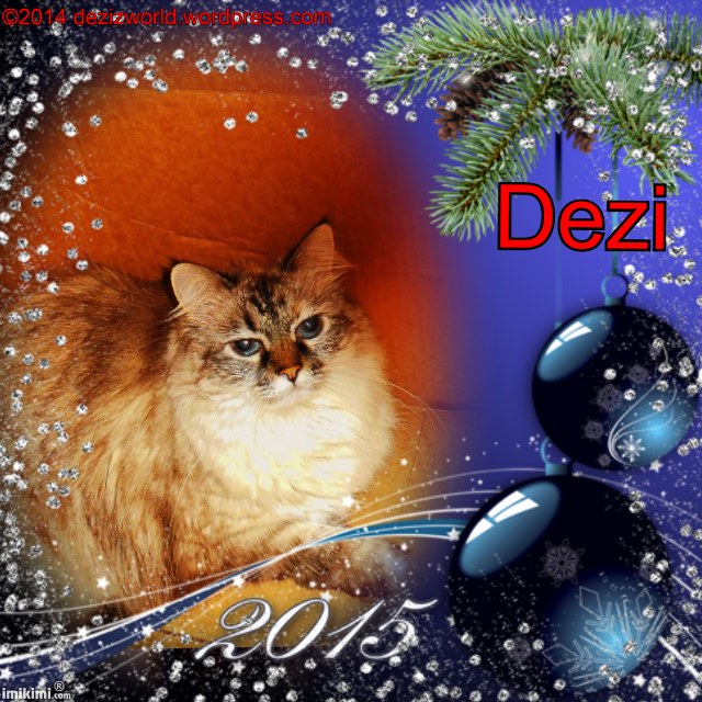 Dezi 2015Happy New Year - 2HEoW-1dp - normal