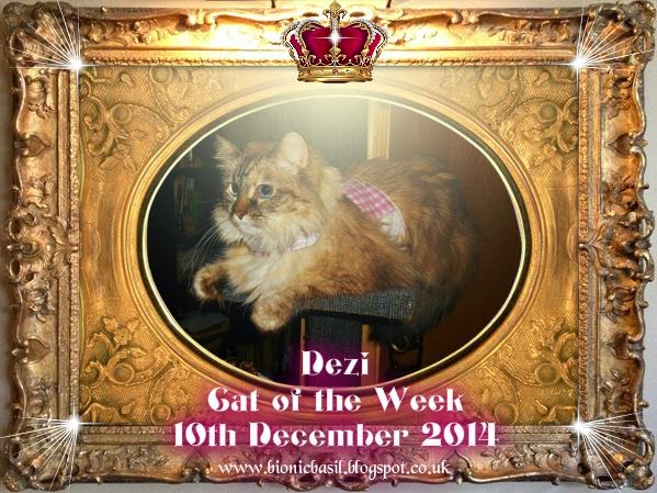 Dezi CoTW 10th Dec 2014