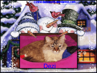 Dezi Happy Winter - 2HEoW-1d4 - normal