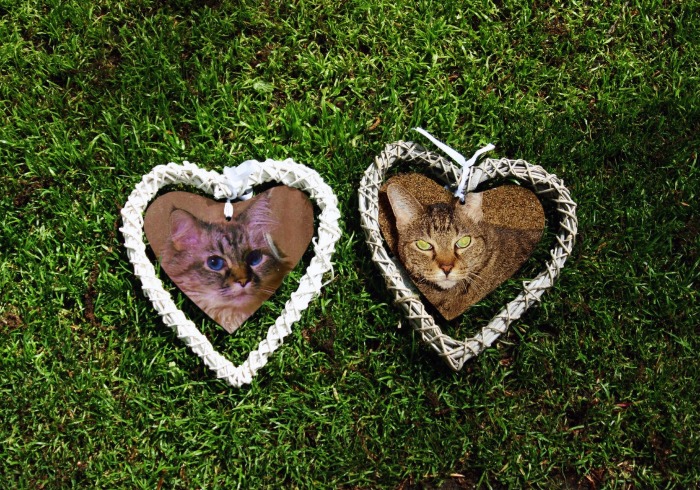 Mommy sez weez be da 2 sides of hers heart.