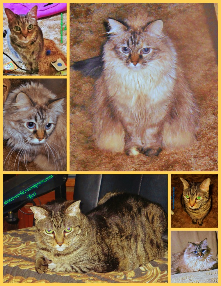 This be ow calendaw page.