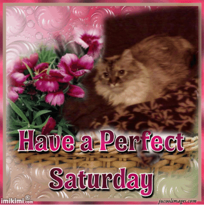 Have a Perfect Saturday, Dezi - 2HEoW-13U - normal