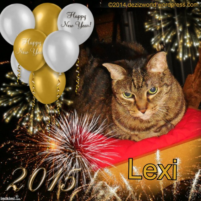 Lexi 2015Happy New Year - 2HEoW-1dq - normal