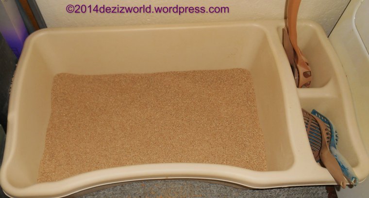 litterbox with SwheatScoop