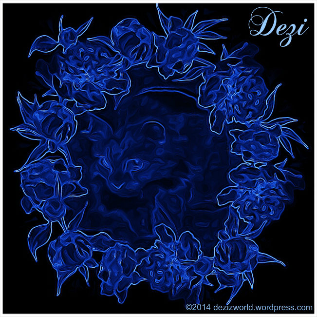 000dw Dezi blue outline