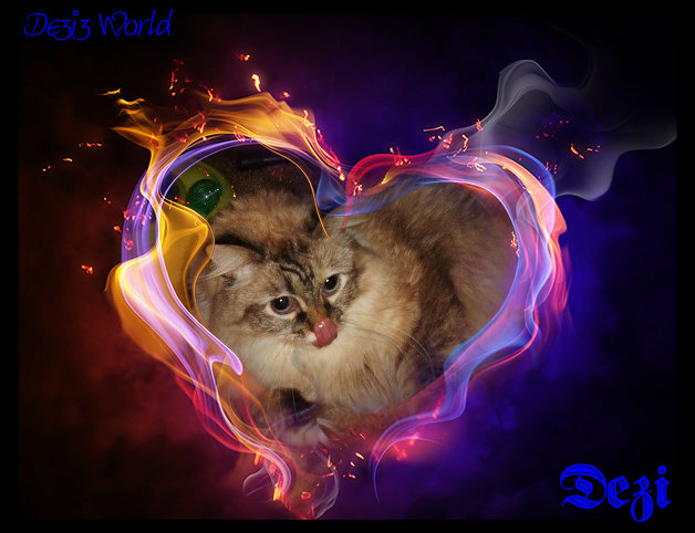 0dw Dezi abstract heart