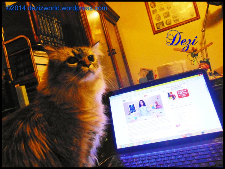 0dw Dezi at computer looking back