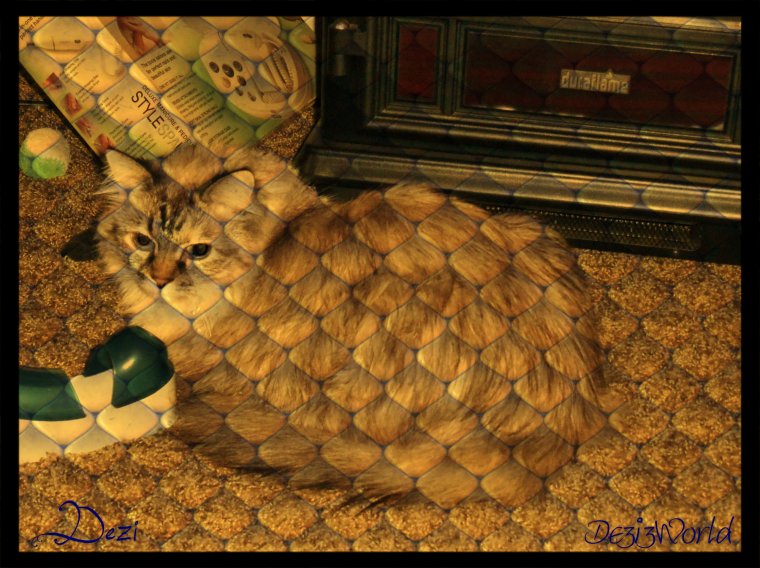 0dw Dezi layin' fp scaled