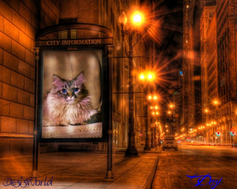 0dw Dezi Night City PF