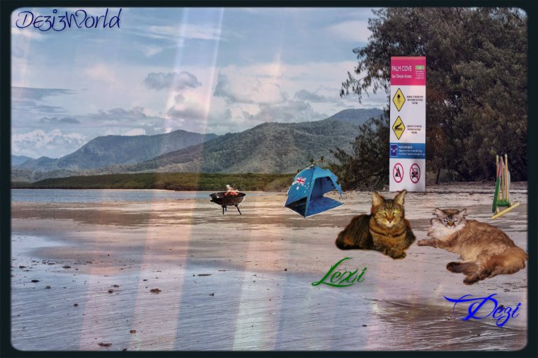 Diz iz a pawsum partee Dinnermintz and Pickles. Faynkz fur inbitin' us.