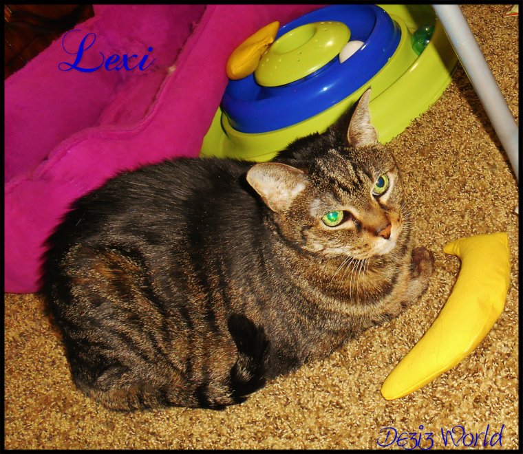 Whut happund? Noze pooter?