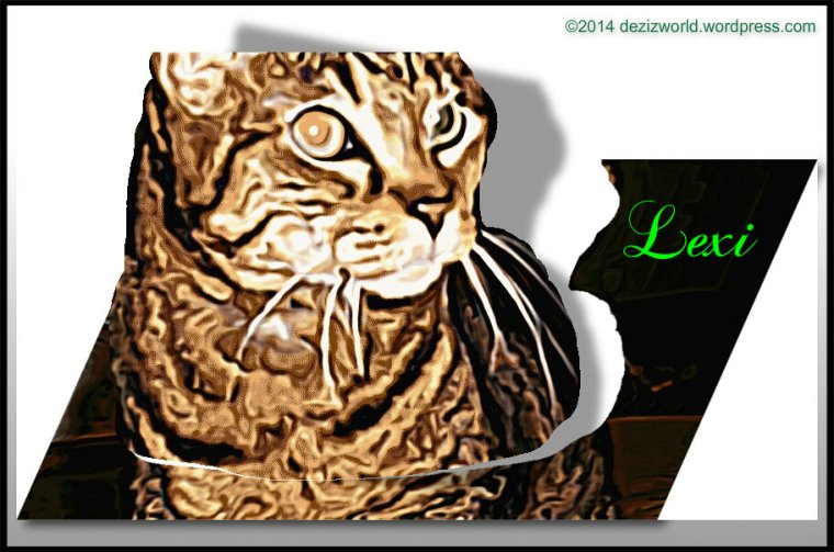 0dw Lexi cutout drawing