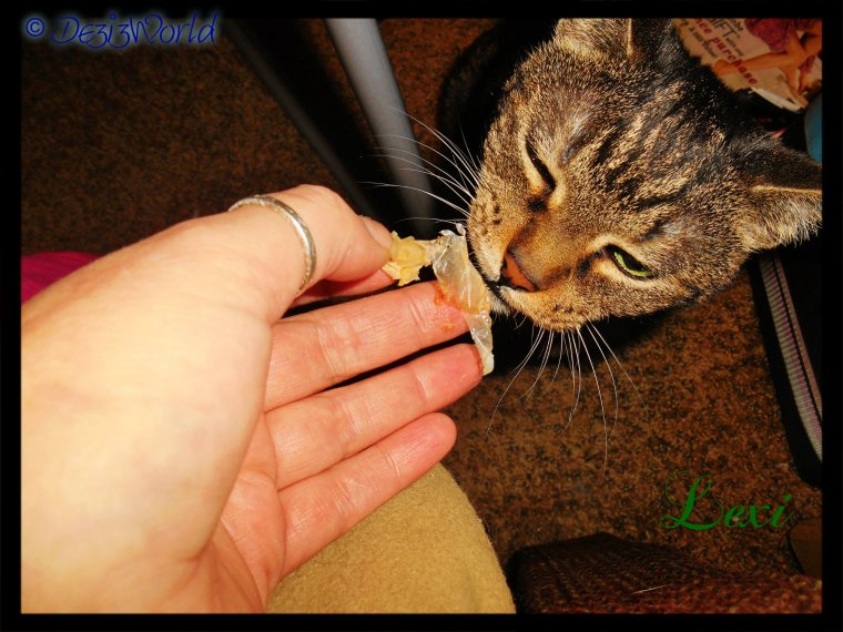 0dw Lexi eating Bonito