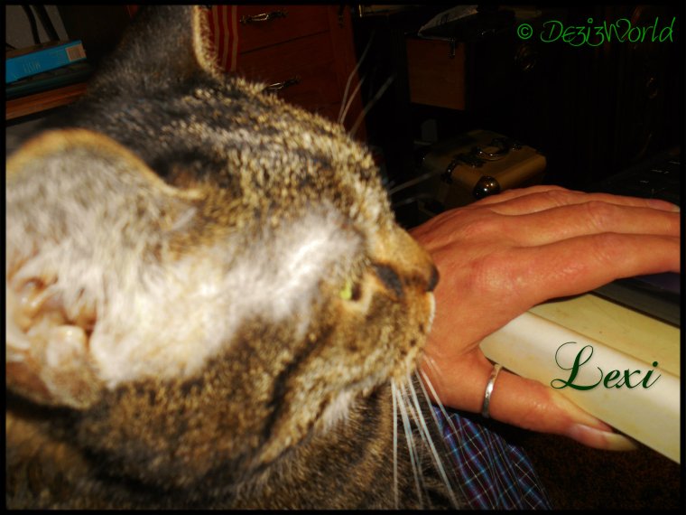 0dw Lexi mommys lap C-U