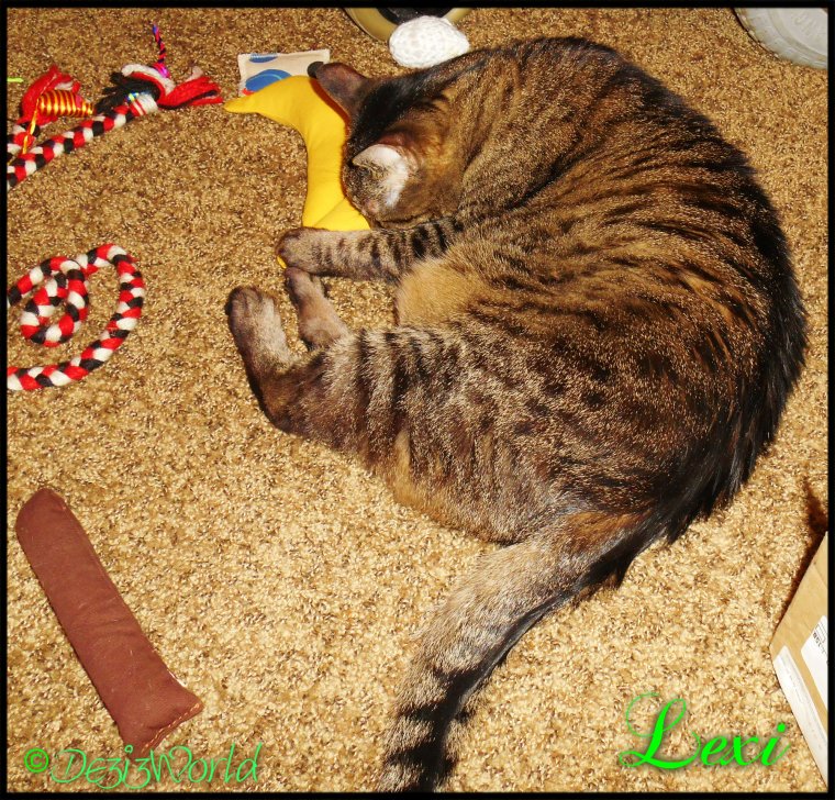 I'z do lubz diz nip nana.