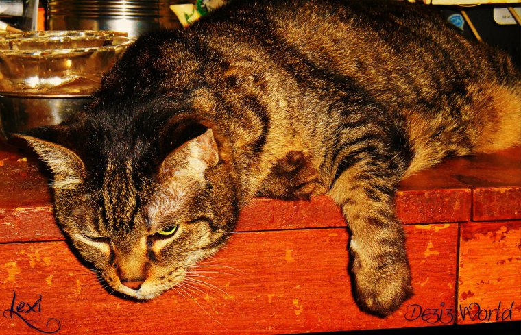 When weez gawdid hoem I'z kuldn't hardlee wayt till dinner.