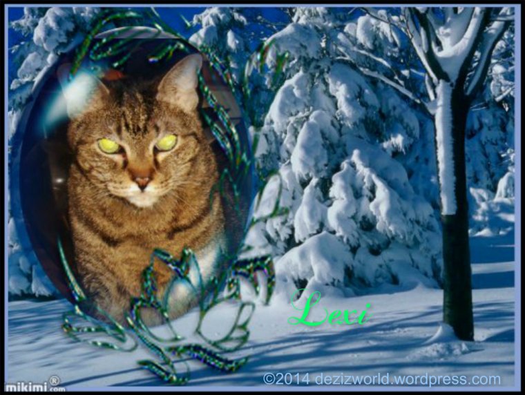 At least weez not hav snow.