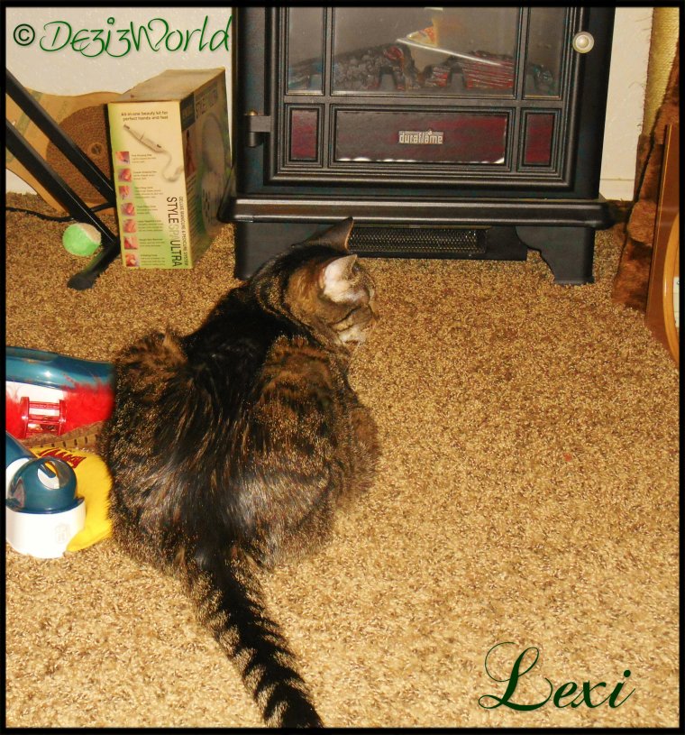 0dw Lexi with fireplace