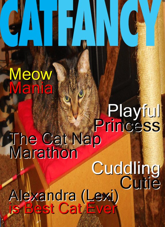 Lexi Cat Fancy cover