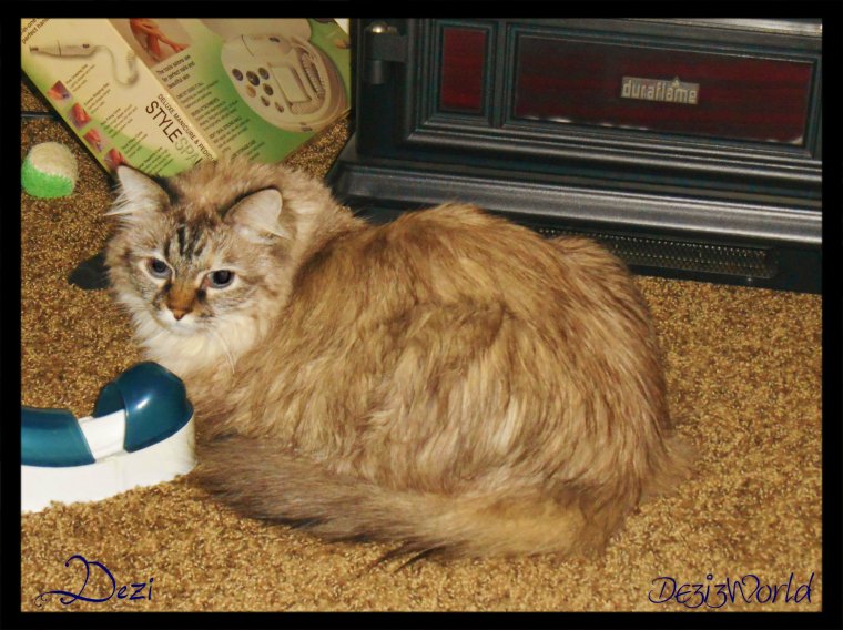 0dw Dezi lays fireplace2