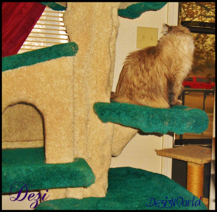 Mommy is dat awnty Ann? tell hers me will be nice ifin she comes back.