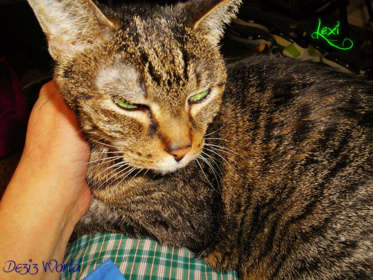 0dw Lexi getting luv