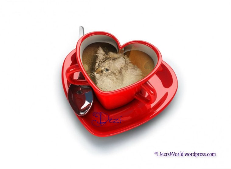 dw Dezi cup o coffee