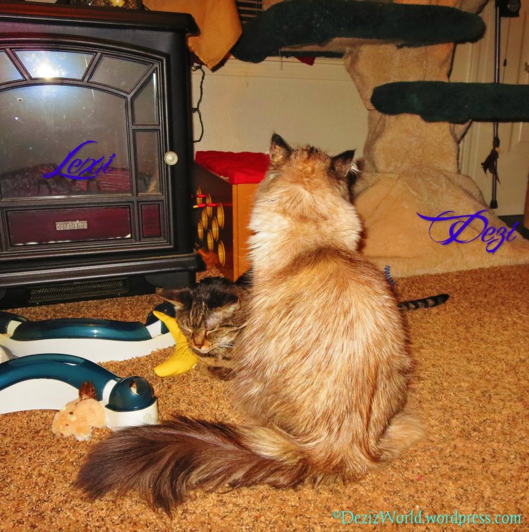 Dezi: Meez gotcha sissy. Awe you feelin' okay? Lexi: Yez Dezi I'z feel fine.