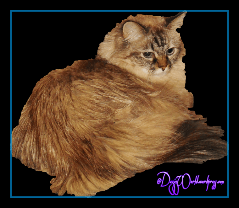 dw Dezi picsart frame