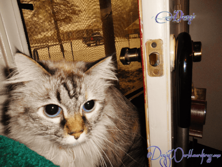 dw Dezi selfie door sm2