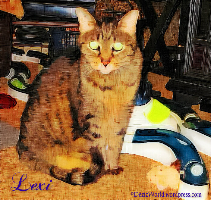 Mommy sez I'z look grayt in oylz too.