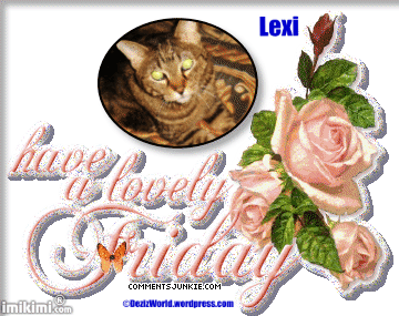 friday - 2HEoW-1ej - normal