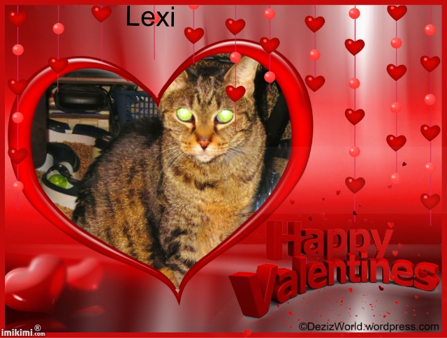 Lexi happy valentines day! - 2HEoW-1dV - normal