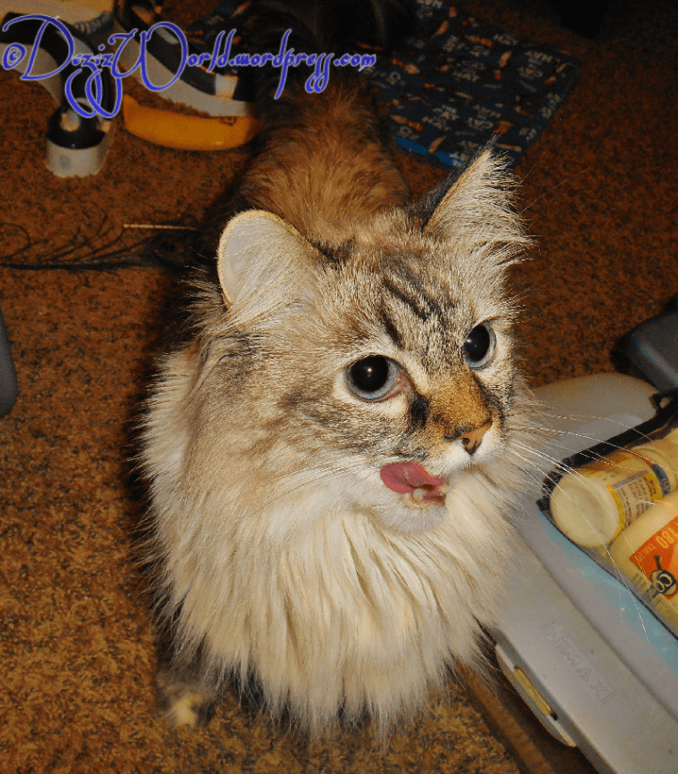 Me wants more mommy.