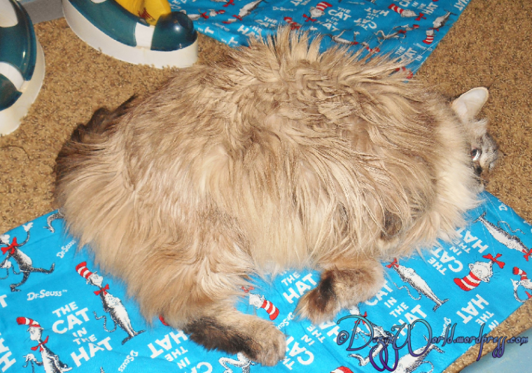 Now me has meez own nip mat and Lexi has hers. Fanks Miss Ellen and sweet Tabbies, we do luv 'em. and we even know which one is ours. :)