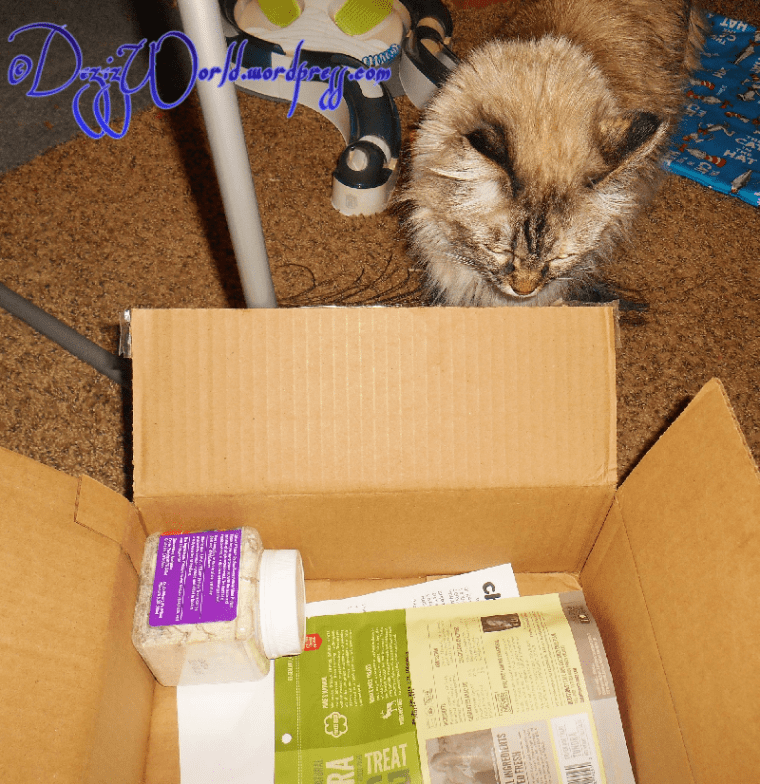 dw Dezi review box march