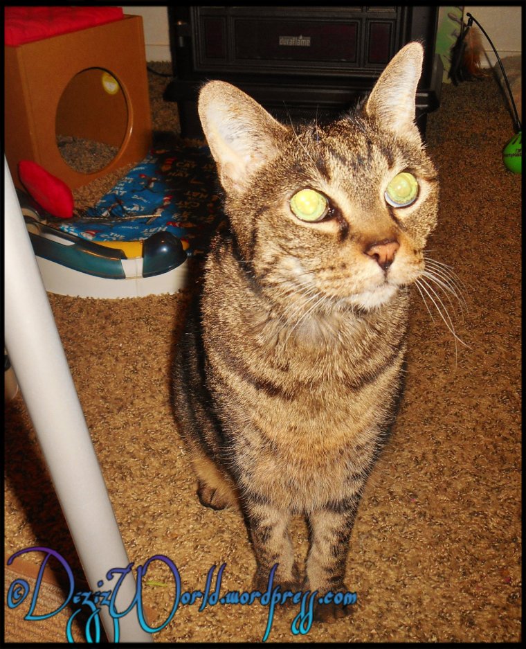 dw Lexi looks pretty3898fr