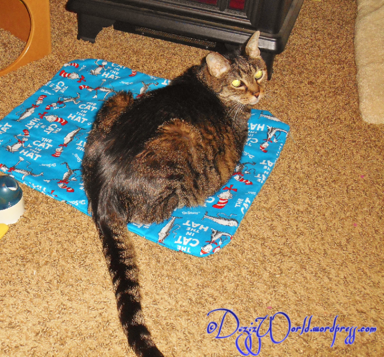 I'z gawdid it lazt and fur da lawngizt time. hehehe