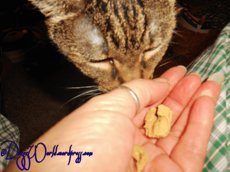 dw Lexi orijen tundra75