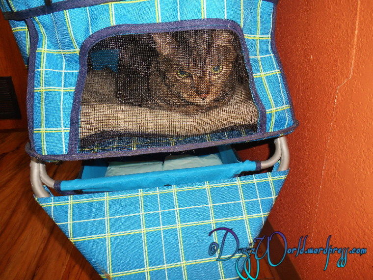 Weez didunt habz to heree abter awl. Deyz beez runnin' beez hind heer seemz.