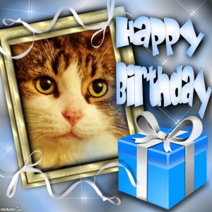 AndyHappy Birthday - 2HEoW-1eN - normal