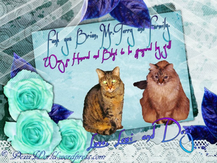 dw Brians home thank you