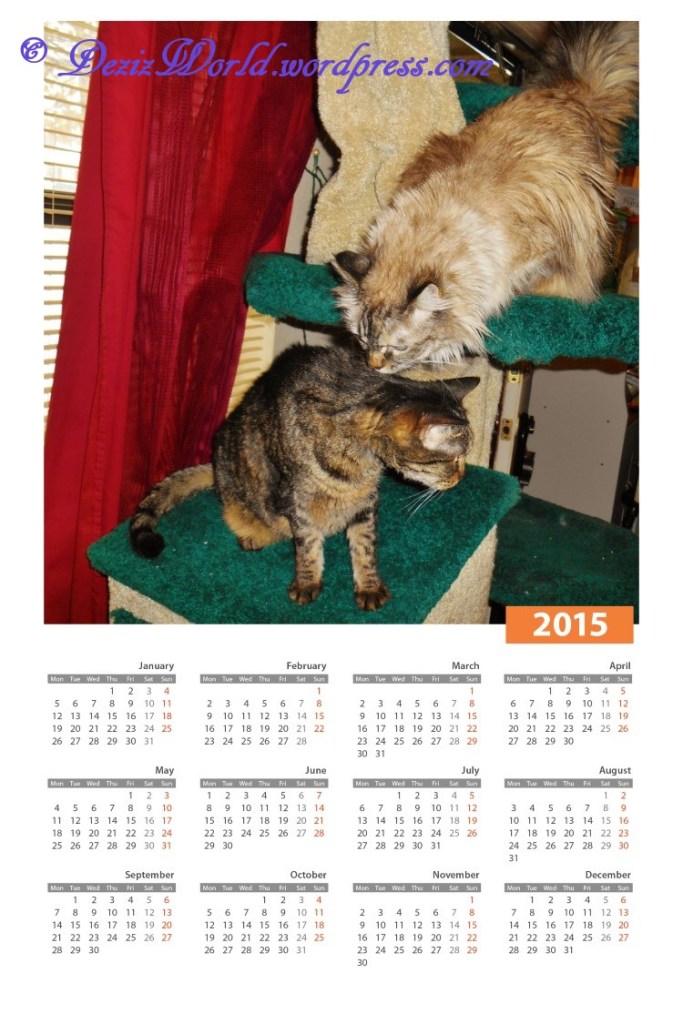 dw D n L 2015calendar