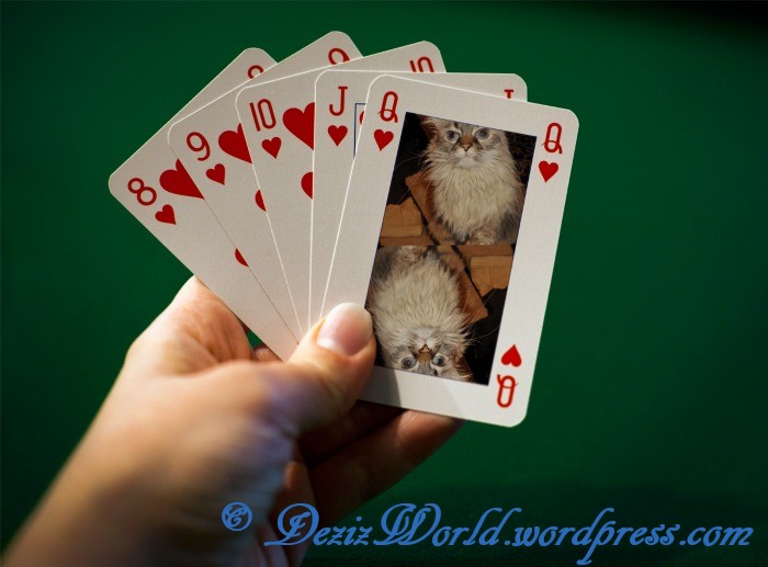 dw Dezi queen of hearts