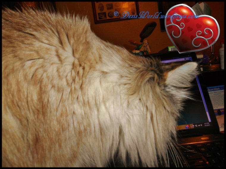 Now which key means post mommy?